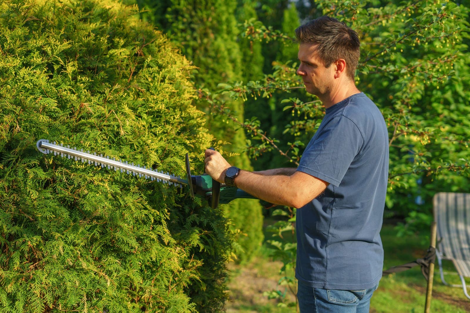 Mann schneidet eine Hecke mit der Heckenschere